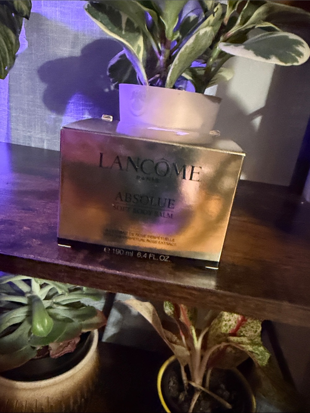 Absolue Absolute Soft Cream Anti Aging Moisturizer